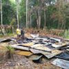 Grief of Sumatran Tiger, Illegal Logger Burnt the Community Forest’s Hut